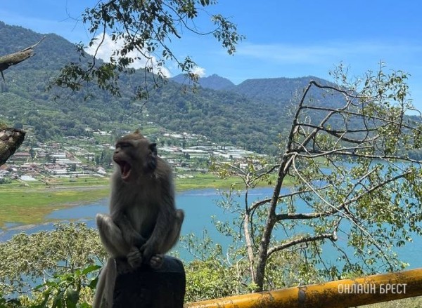 Названы страны, где в 2024 году вводят или повышают налоги для туристов