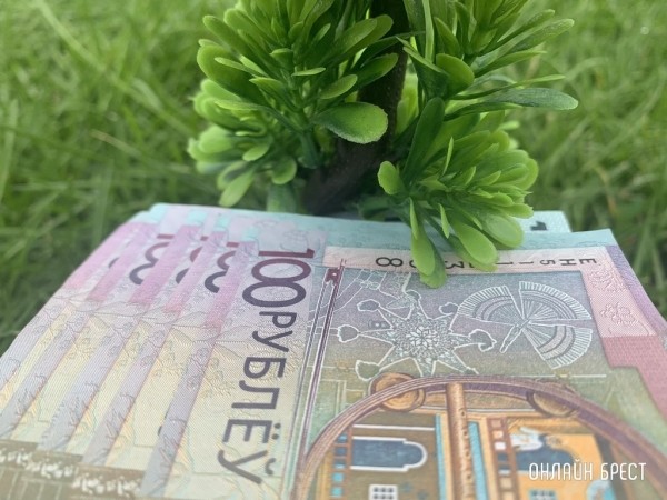 Зарплата от 3000 рублей: кому и за что в Беларуси готовы платить такие деньги